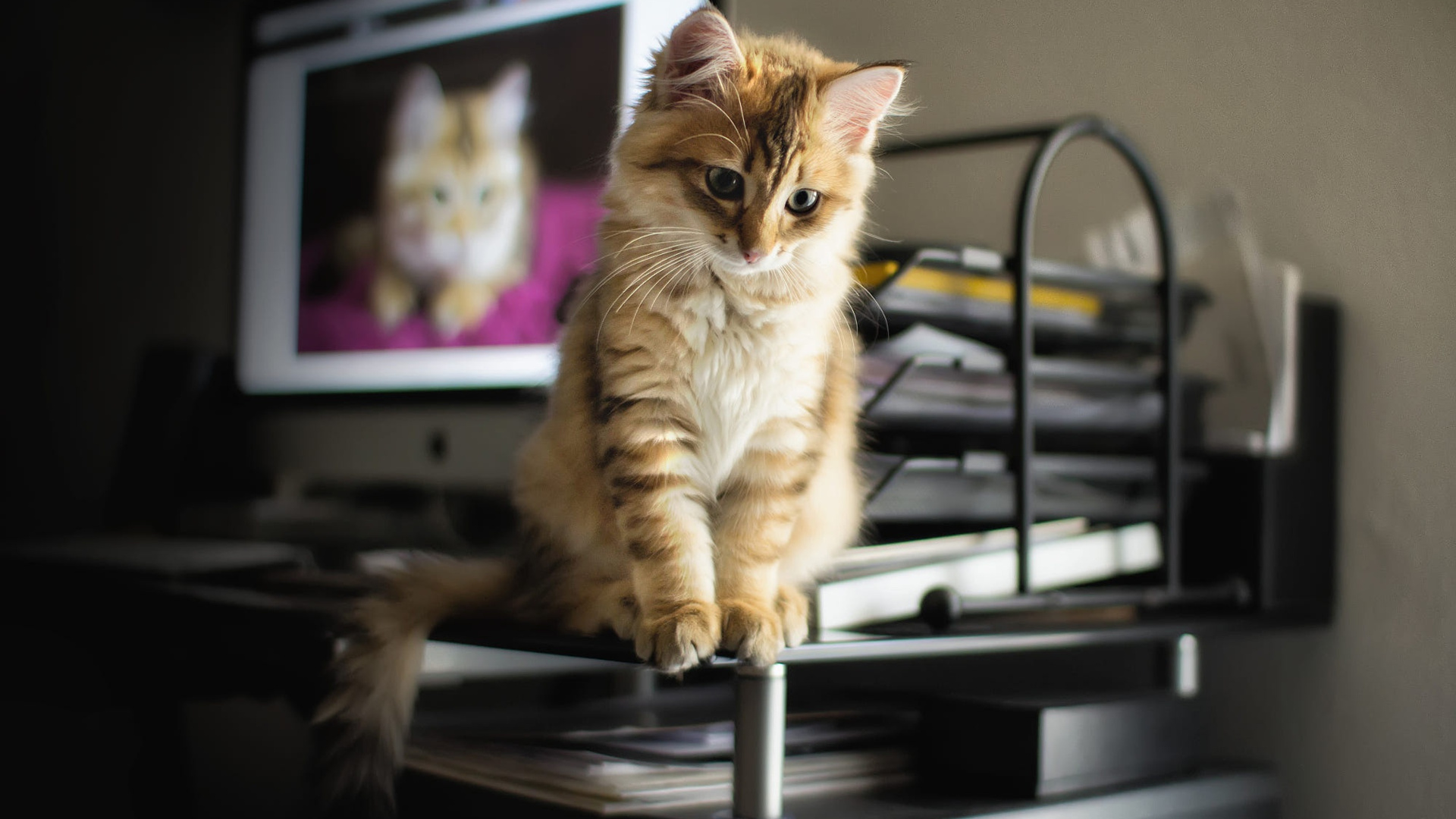 Spring源码分析(三) CreateBean()