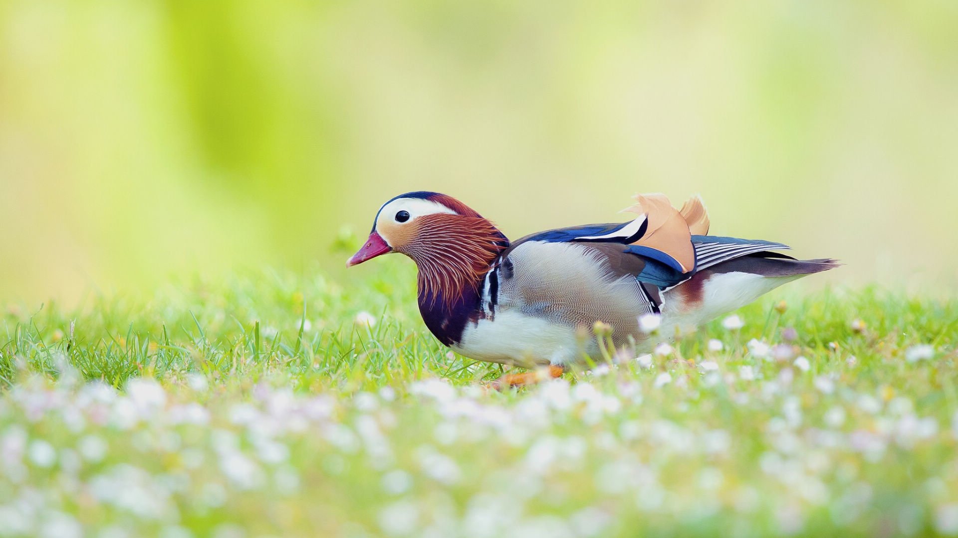 SpringBoot自定义Starter